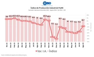 La industria pyme cay&oacute; 8,7% interanual en agosto