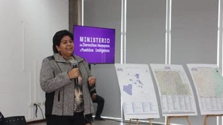 Se present&oacute; el Informe T&eacute;cnico de Comunidades Ind&iacute;genas de la Provincia