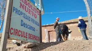 Conservaci&oacute;n de los bosques de que&ntilde;oa en Arbolito Nuevo
