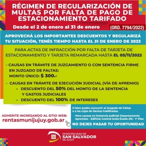 Inicia la moratoria para la regularizaci&oacute;n de multas por el estacionamiento tarifado