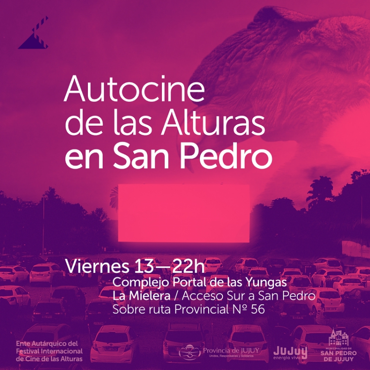 Autocine de las alturas brindar&aacute; una funci&oacute;n en San Pedro