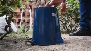 2022 culmin&oacute; sin registro de casos positivos de dengue