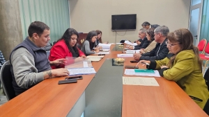 La Comisi&oacute;n de Asuntos Sociales diagram&oacute; la agenda de invitados para el tratamiento del proyecto de Ley de Juventud