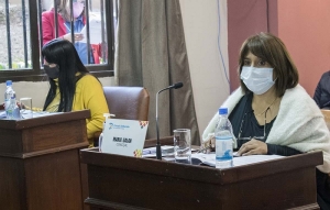 Ediles capitalinos manifestaron su preocupaci&oacute;n por las recientes pegatinas realizadas en la ciudad