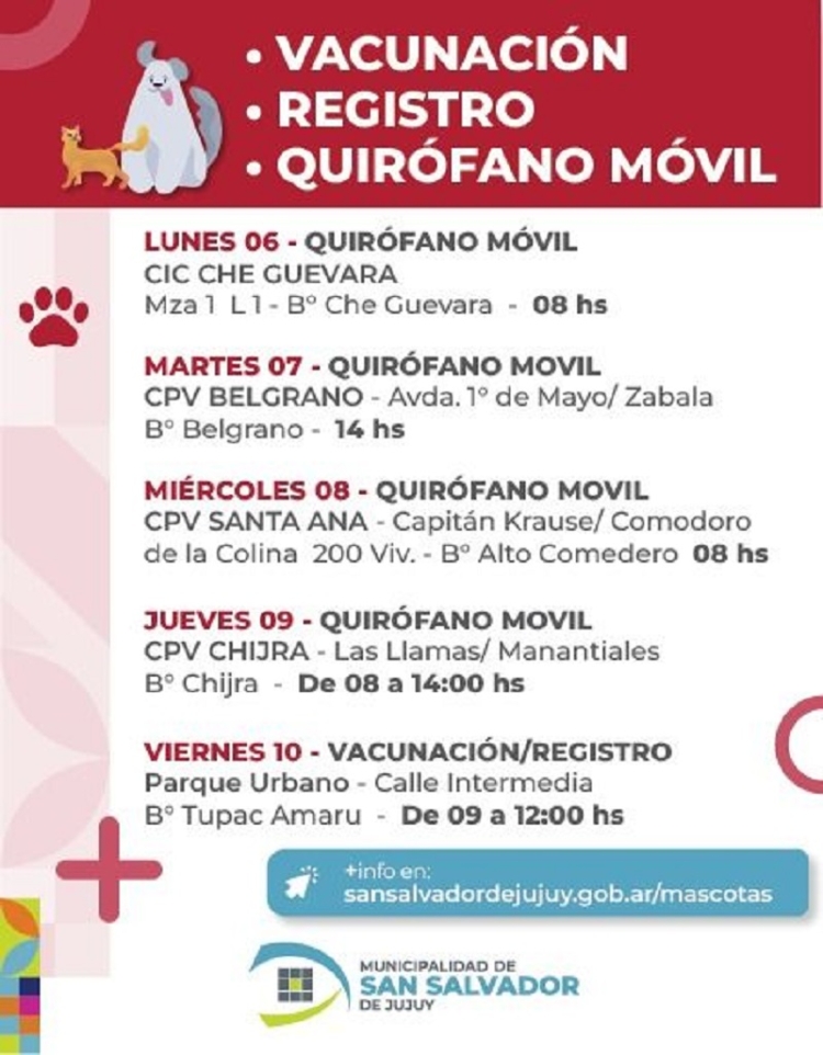 Zoonosis despliega operativos de quir&oacute;fano m&oacute;vil, vacunaci&oacute;n y registro en distintos barrios de la ciudad