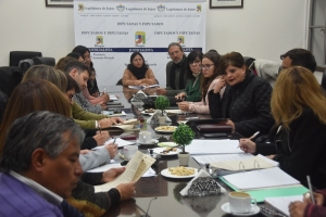 La ministra de Ambiente explic&oacute; a los legisladores las modificaciones solicitadas a la Ley GIRSU
