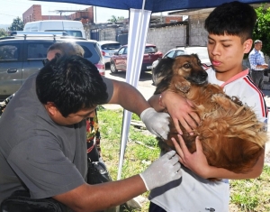 Zoonosis realizar&aacute; operativos de castraci&oacute;n y bienestar animal en distintos barrios de la ciudad
