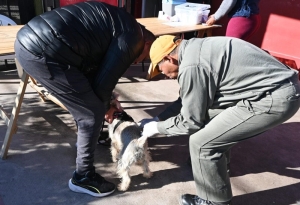 La Municipalidad contin&uacute;a con la campa&ntilde;a gratuita de vacunaci&oacute;n antirr&aacute;bica y registro de mascotas en distintos barrios