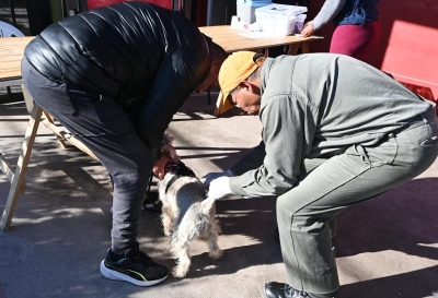 La Municipalidad contin&uacute;a con la campa&ntilde;a gratuita de vacunaci&oacute;n antirr&aacute;bica y registro de mascotas en distintos barrios