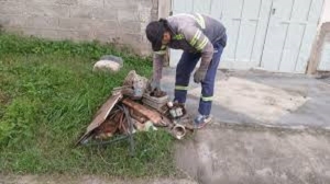 Jujuy sostiene la vigilancia epidemiol&oacute;gica: sin casos de dengue y con monitoreo activo de chikungunya y virus respiratorios