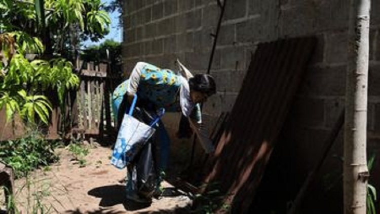 Dengue: los s&iacute;ntomas pueden comenzar de 4 a 10 d&iacute;as despu&eacute;s de la picadura de un mosquito infectado