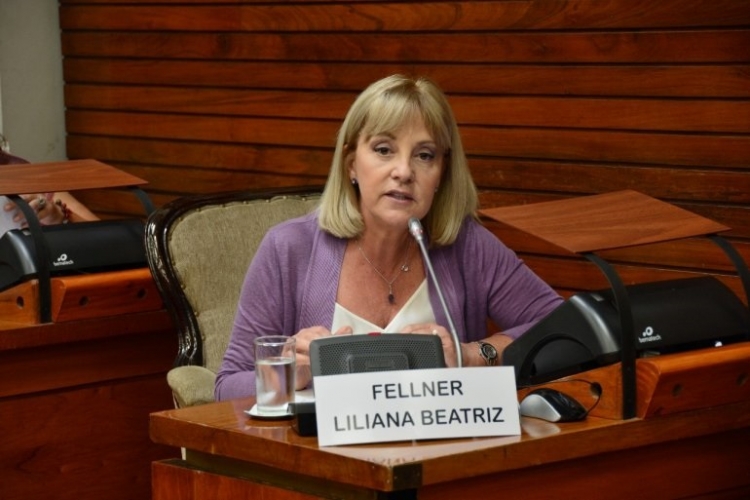 Liliana Fellner :"Pablo Baca debe renunciar y ponerse a disposici&oacute;n de la justicia"