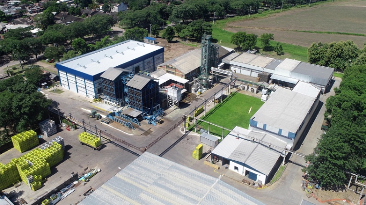 Ledesma lider&oacute; las exportaciones argentinas de c&iacute;tricos