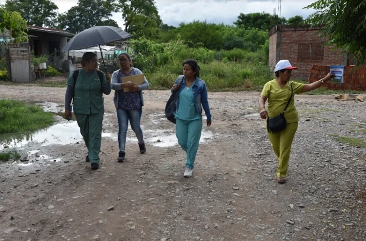 Se confirmaron 4 nuevos casos de dengue en Jujuy