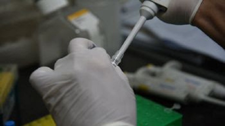 Se analiza un caso probable de dengue en Jujuy