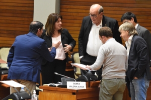La Legislatura manifest&oacute; su rechazo al veto de la Ley de Financiamiento Universitario