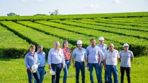 Morales reivindic&oacute; la cultura del trabajo y el esfuerzo junto a productores de t&eacute;