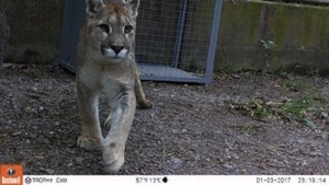 Protecci&oacute;n y recuperaci&oacute;n de la fauna aut&oacute;ctona