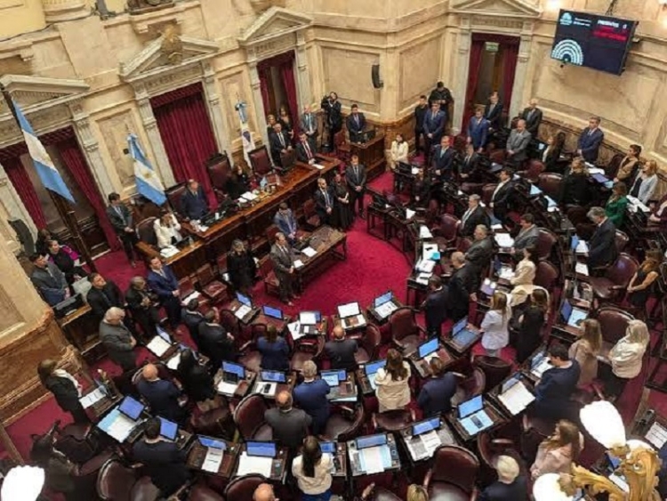 El Senado aprob&oacute; en general la reforma de la Ley de Salud Mental, que habilita internaciones involuntarias
