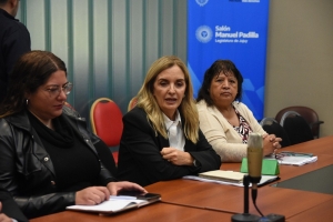 La Comisi&oacute;n de Asuntos Sociales analiz&oacute; proyectos de patrocinio y tutor&iacute;as en el deporte