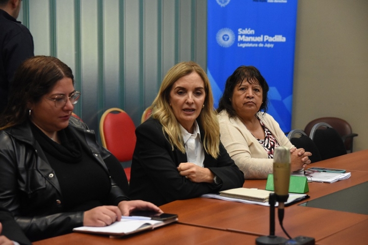 La Comisi&oacute;n de Asuntos Sociales analiz&oacute; proyectos de patrocinio y tutor&iacute;as en el deporte