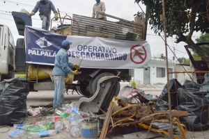 Se inician acciones para combatir el dengue en Palpal&aacute;