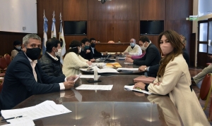 La Legislatura contin&uacute;a trabajando en la ley de emergencia turistica