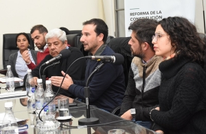 La Comisi&oacute;n de Educaci&oacute;n, Cultura, Salud y Seguridad avanza en materia de inclusi&oacute;n y salud integral