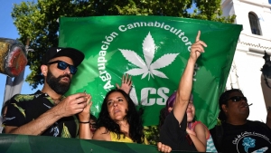 Cultivadores y activistas reclamaron la despenalizaci&oacute;n de la marihuana