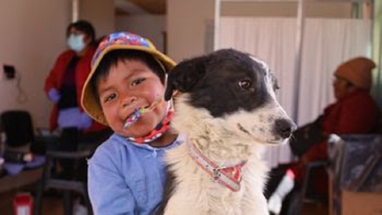 Vacunaci&oacute;n gratuita de perros y gatos en la Semana de Prevenci&oacute;n y Control de la Rabia