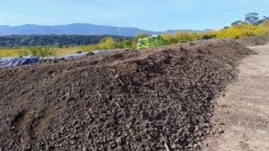 GIRSU S.E.: producci&oacute;n sustentable en Jujuy