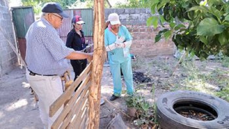 Eliminar criaderos de mosquitos es la medida principal para prevenir el dengue