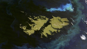 Malvinas afuera del acuerdo comercial post brexit