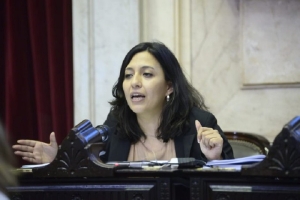 Leila Chaher: &ldquo;por intereses personales la oposici&oacute;n se olvida de los juje&ntilde;os y argentinos&rdquo;