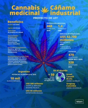 Avanza en el Senado el proyecto sobre cannabis medicinal