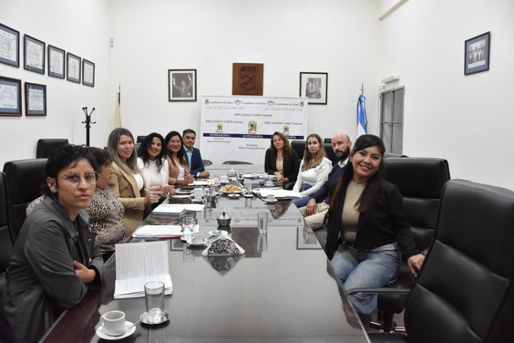 La Comisi&oacute;n de Ambiente analiz&oacute; un proyecto para reutilizar el agua