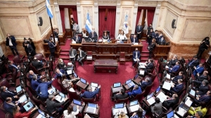 El Senado debatir&aacute; este jueves el proyecto para pagarle al FMI con dinero fugado.