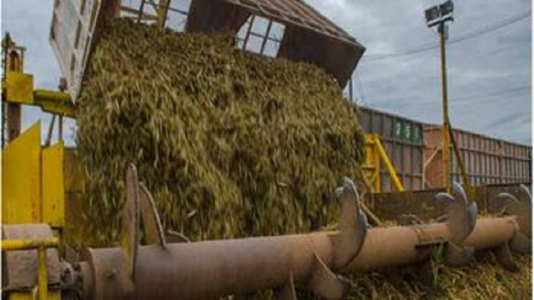 Jujuy marca r&eacute;cord en exportaciones del NOA