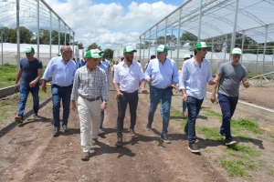 Julio Bravo particip&oacute; de la mesa panel de la red federal de acci&oacute;n ambiental