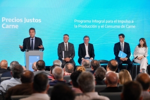 Programa integral de impulso a la producci&oacute;n y el consumo de carne