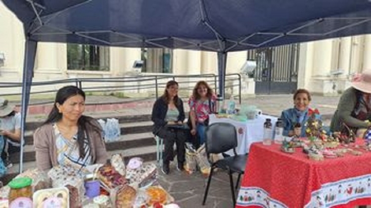 Se llev&oacute; a cabo el Paseo "Emprender sin l&iacute;mites"