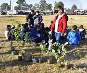 En Palpal&aacute; se mantiene la plantaci&oacute;n de especies arb&oacute;reas junto a las instituciones educativas