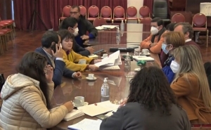 La Comisi&oacute;n de Cultura y Turismo avanza con el proyecto de ley sobre el "d&iacute;a la mujer juje&ntilde;a"