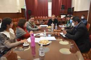 Plenario de Comisiones avanz&oacute; en el tratamiento del proyecto de ley de creaci&oacute;n de la Compa&ntilde;&iacute;a de Seguros de Jujuy sociedad del estado