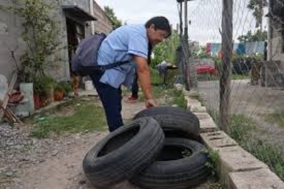 Salud intensifica las acciones frente al dengue