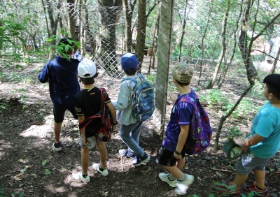 El Parque Bot&aacute;nico Municipal realizar&aacute; &ldquo;La Hora del Planeta&rdquo; con actividades educativas