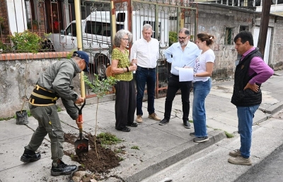 Campa&ntilde;a de arborizaci&oacute;n para mejorar el entorno urbano