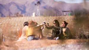 Vinos juje&ntilde;os de altura estar&aacute;n en las Jornadas Nacionales de Enoturismo