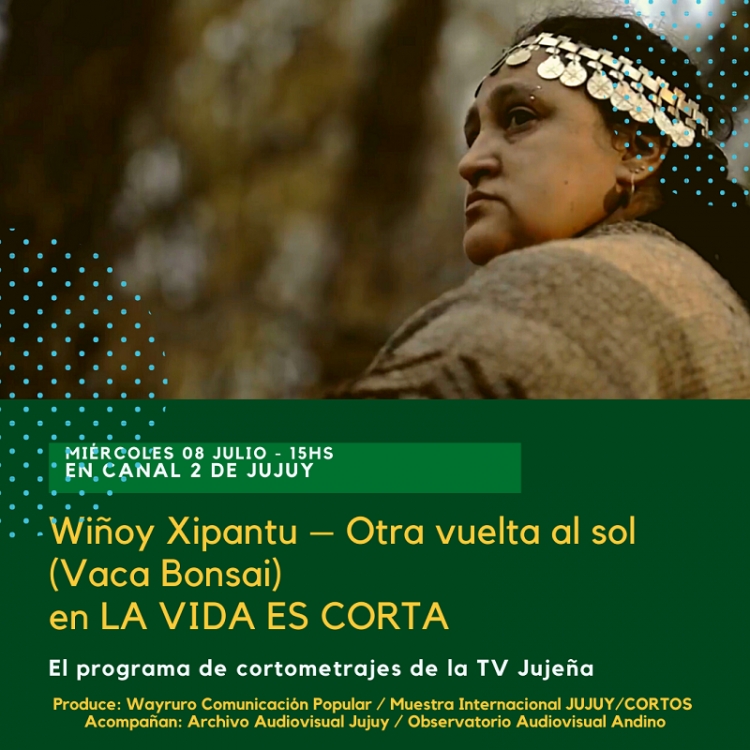 Documentales en &ldquo;La vida es corta&rdquo;