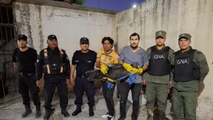 Ambiente env&iacute;a un ejemplar de c&oacute;ndor andino a Bs. As., para garantizar su recuperaci&oacute;n